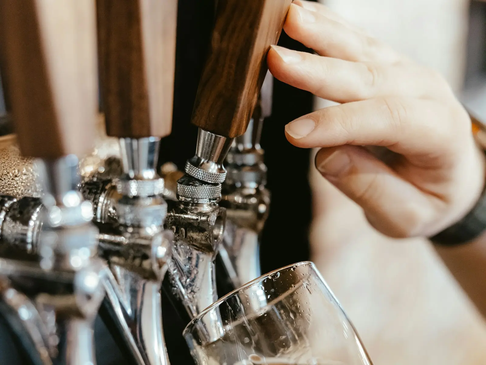 Breweries & Taprooms